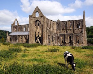 Tintern Abbey - Crédit photo : Saffron Blaze / Creative Commons